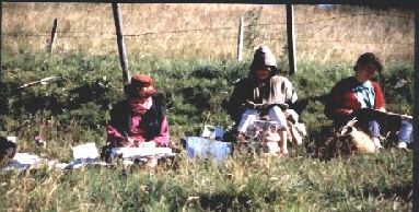 Photo des stagiaires peignant d'après nature